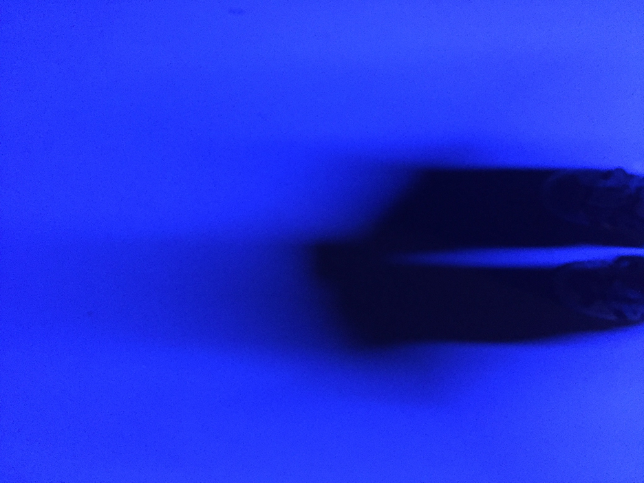 and-Bleu Sued Shoes